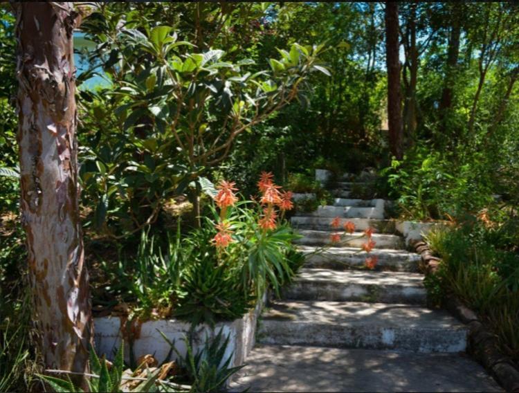La Barranca De La Barca Bed & Breakfast Alora Luaran gambar