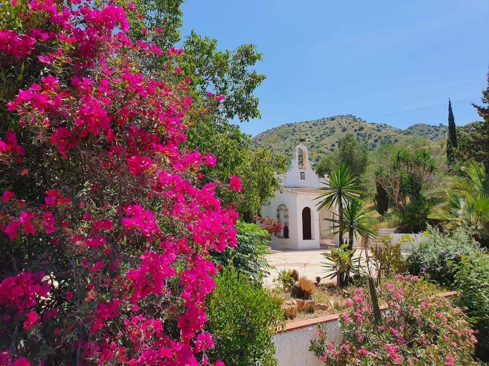 La Barranca De La Barca Bed & Breakfast Alora Luaran gambar